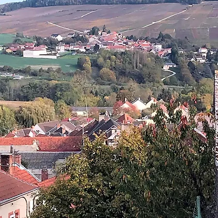 D'hotes Karine Smej Bed & Breakfast Châtillon-sur-Marne